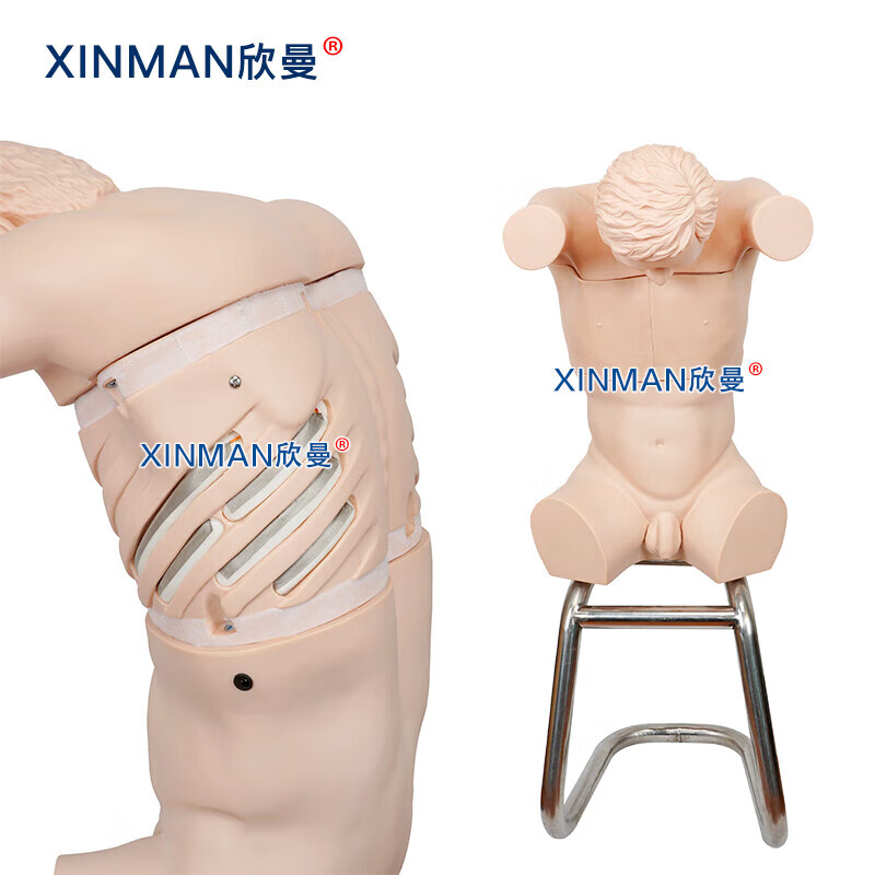 欣曼科教 胸腔背部穿刺训练模拟人 胸腔穿刺操作模型XM-LXQA高清大图