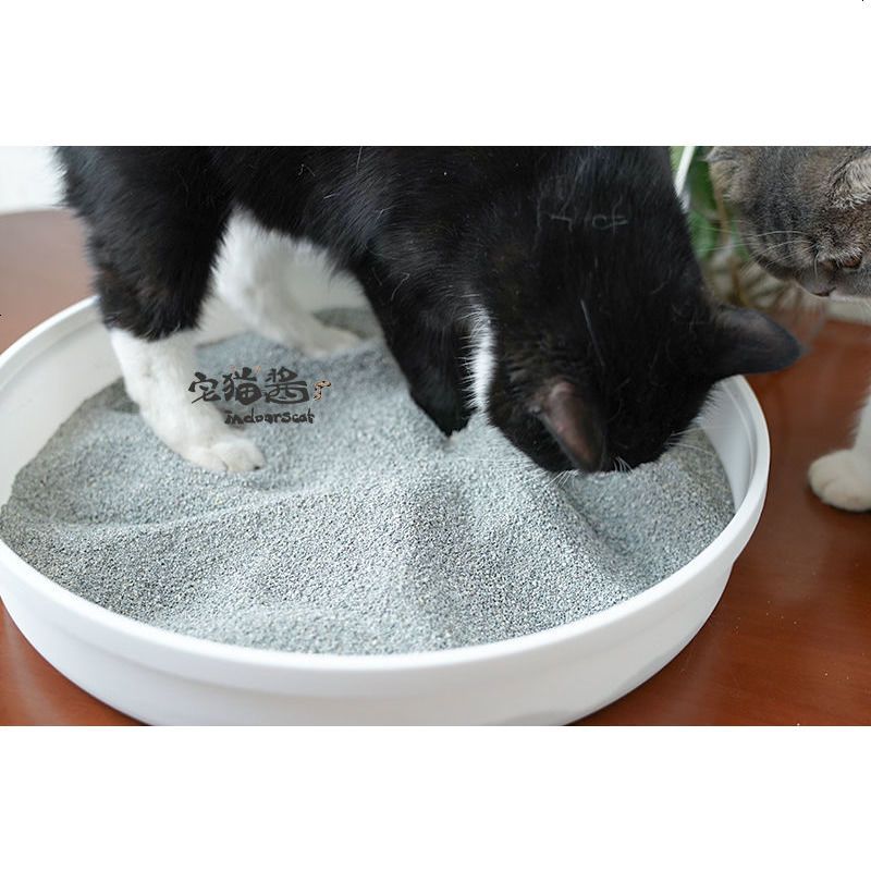 宅猫酱 Cat Magic膨润土猫砂 无香型 消臭结团厕所砂 21磅