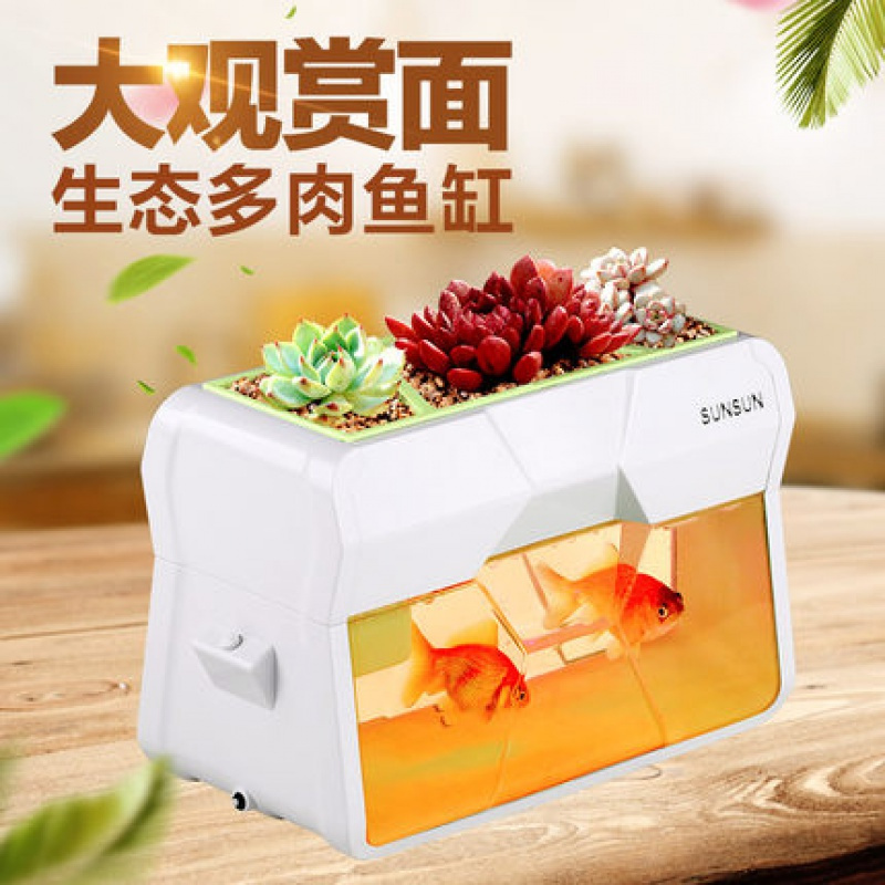 小型桌面鱼缸创意水族箱多肉生态亚克力造景观赏鱼金鱼缸过滤高清大图