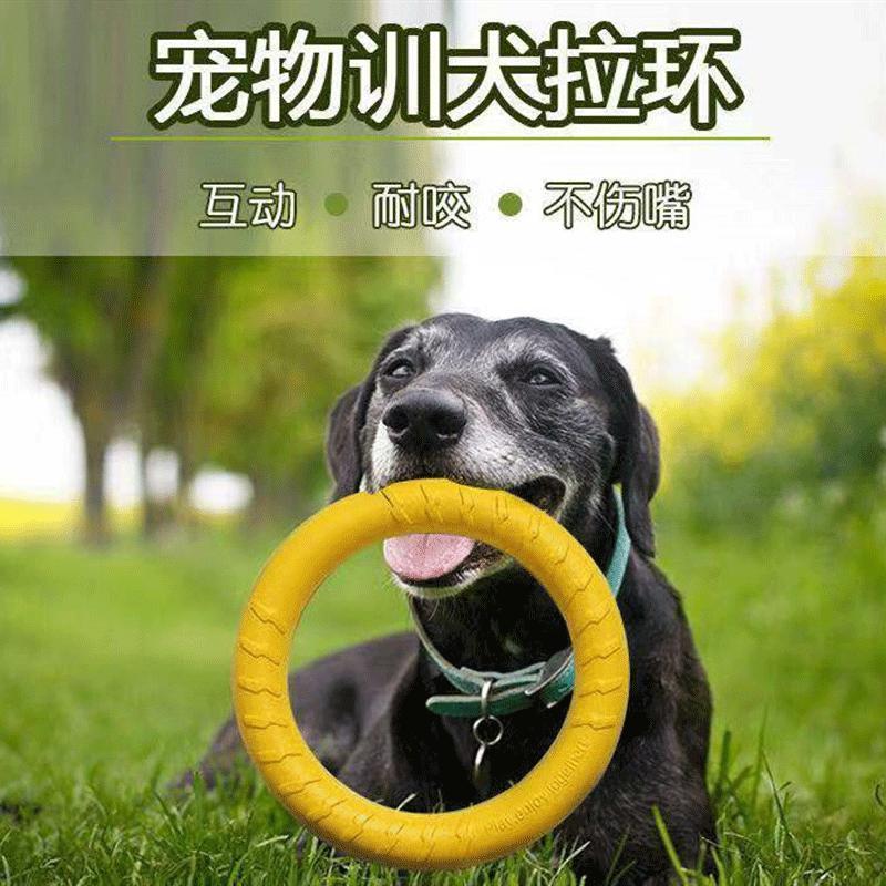小拉环一个（建议5斤以下小狗使用） 训犬拉环狗狗耐咬啃咬咬环宠物玩具边牧泰迪金毛训练拽环训狗用品