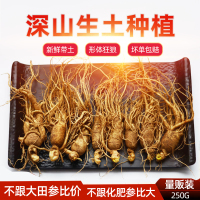 [新鲜人参]权禄长白山带土鲜人参250g(约8-10枝)可煲汤泡酒精选吉林长白山人参泡酒药材