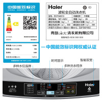 海尔(Haier)EB70M919 7公斤 全自动家用大神童波轮洗衣机 宽水压宽电压设计 智能双水位