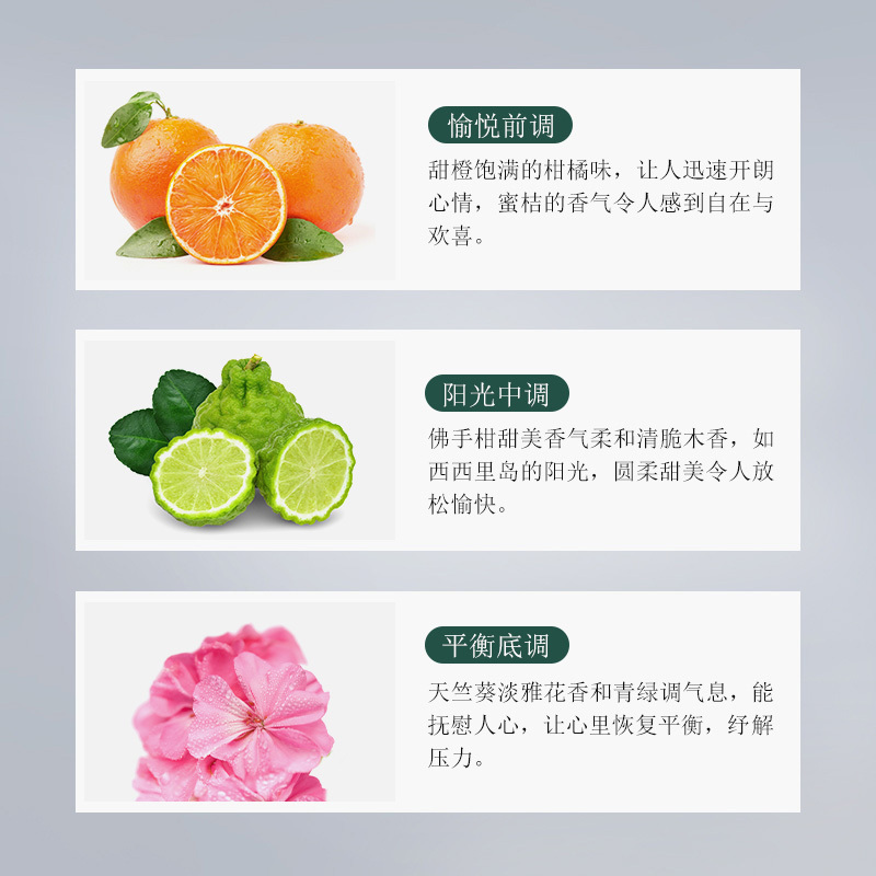 质心天竺葵经典天然精油护发素300ml