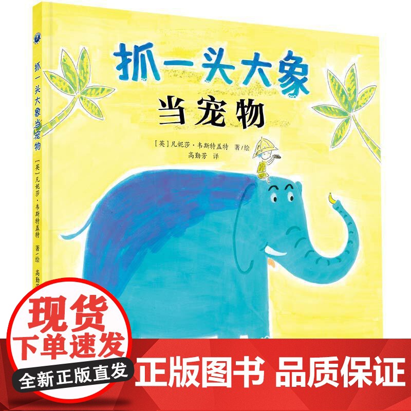 抓一头大象当宠物高清大图