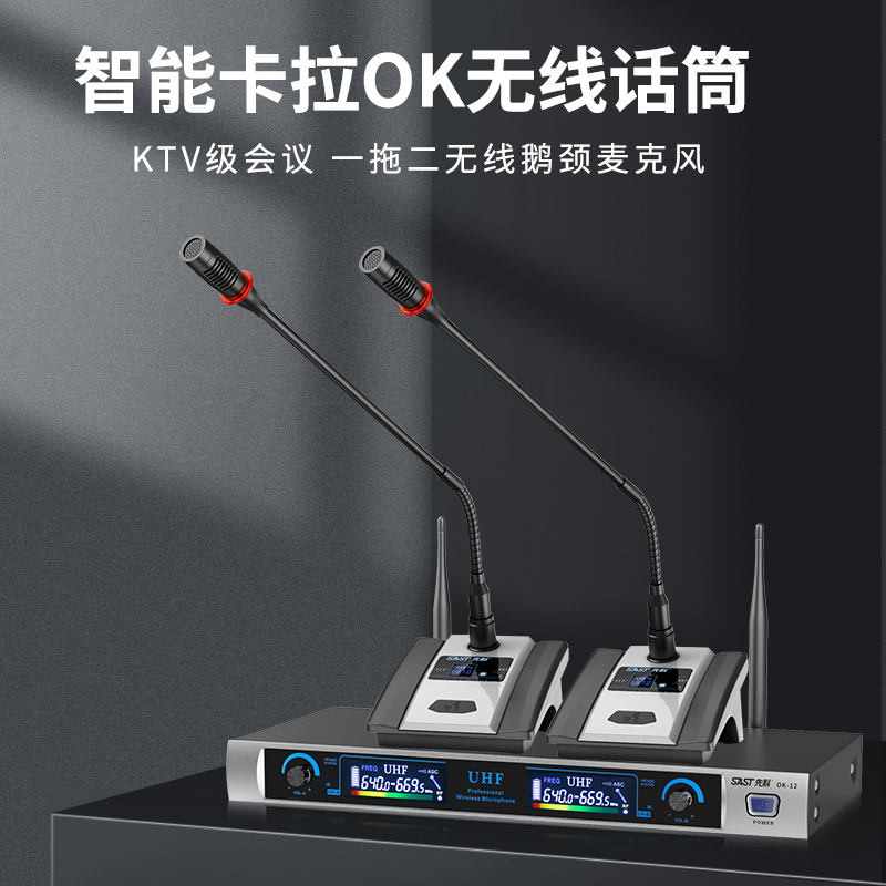 先科(SAST)ok-12专业无线话筒一拖二麦克风家庭卡拉OK舞台演出KTV唱歌婚庆会议U段专业无线话筒