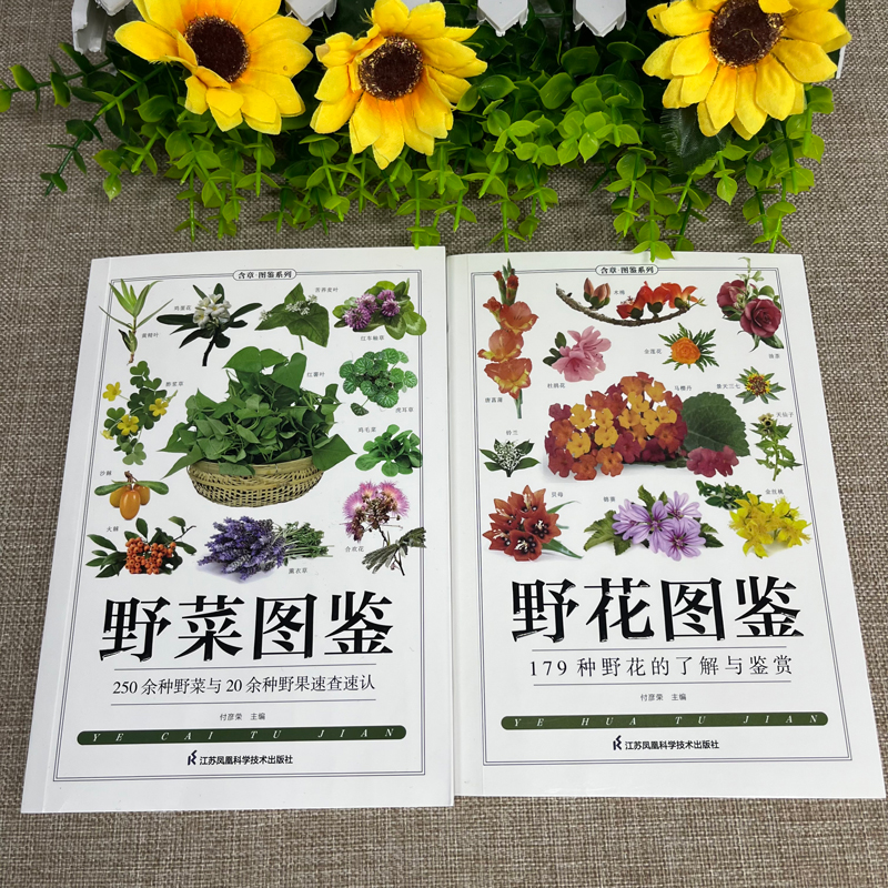 [正版]铜版纸全2册野菜图鉴+野花图鉴常见花卉园林植物识别图鉴野外野菜识别速查图鉴植物特性药学图鉴植物花草识别图解食疗书高清大图