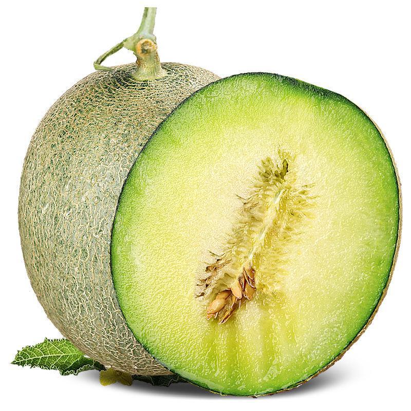 曦凰瓜类 玫珑蜜瓜海南网纹蜜瓜夕哈密瓜新鲜水果玫珑蜜瓜甜瓜香瓜当