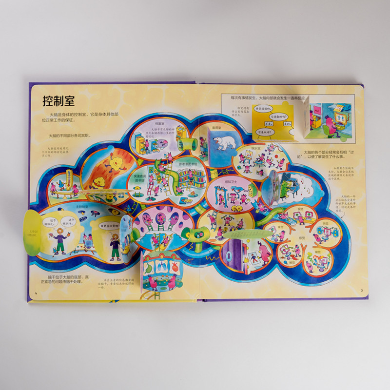 我们的生活篇 共8册 [正版]尤斯伯恩看里面我们的生活 共8册 5-6-7-10-12岁少 揭秘身体运转大脑博物馆 3d高清大图