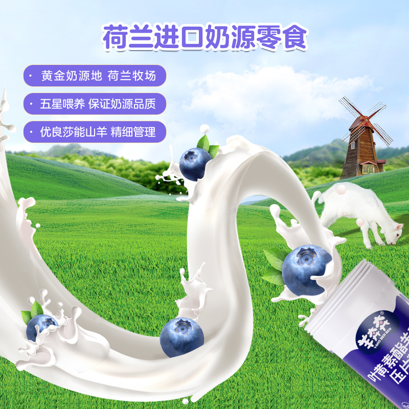羊奔奔羊乳片休闲零食宝宝羊奶片蓝莓味24g/支 新版
