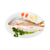 海买 南美乌拉圭大黄鱼 500g 1条 袋装