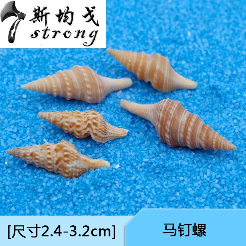 鱼缸装饰造景套餐小水族箱天然贝壳布景海螺底砂工艺品珊瑚