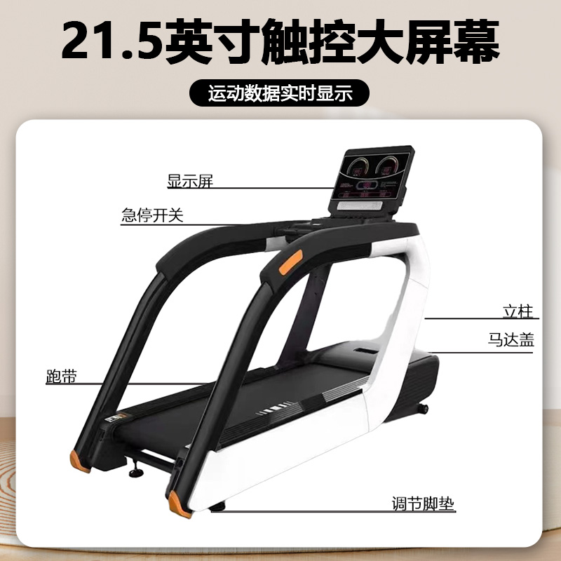 晟渊 跑步机家庭用智能降噪可折叠爬坡走步机宽大跑台YT8001高清大图