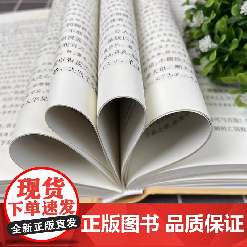 正版 四书章句集注 精装 中华国学文库 统文化精华 标准简体善本 收录全面 好的展示四书全貌和朱熹思想 国学经典 中华书高清大图