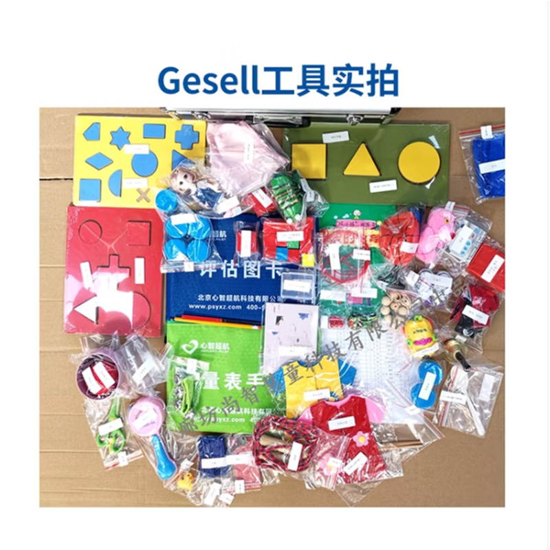 尚智慧童 Gesell发育诊断管理系统V2.0 专业版 便携套装早教教具高清大图