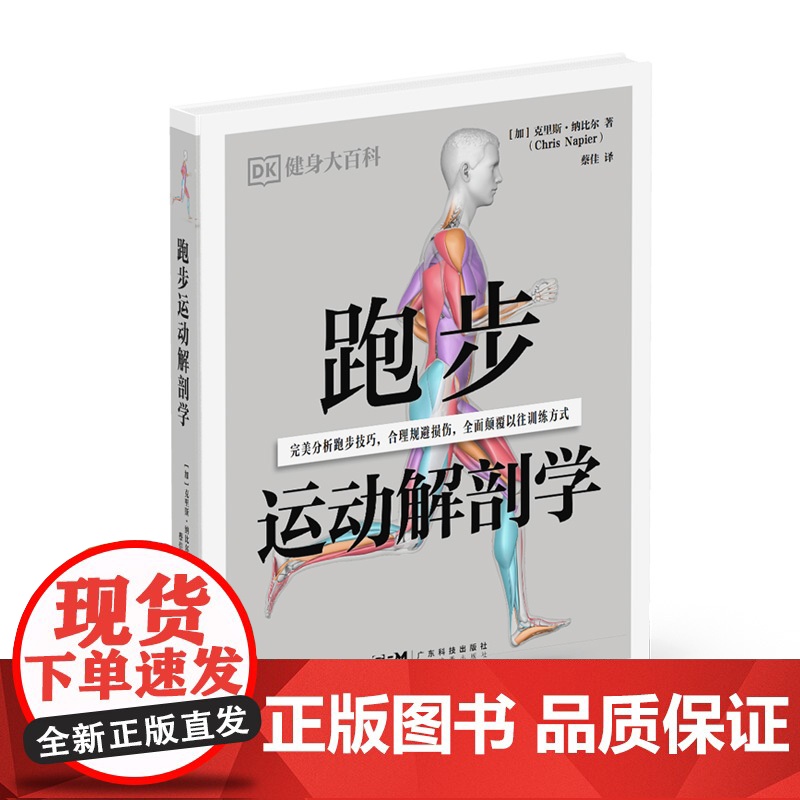 跑步运动解剖学 DK健身大百科丛书 500 多张高清解剖图 精讲发力方式和跑步姿势 高清大图展示 30 个针对力量灵活性高清大图