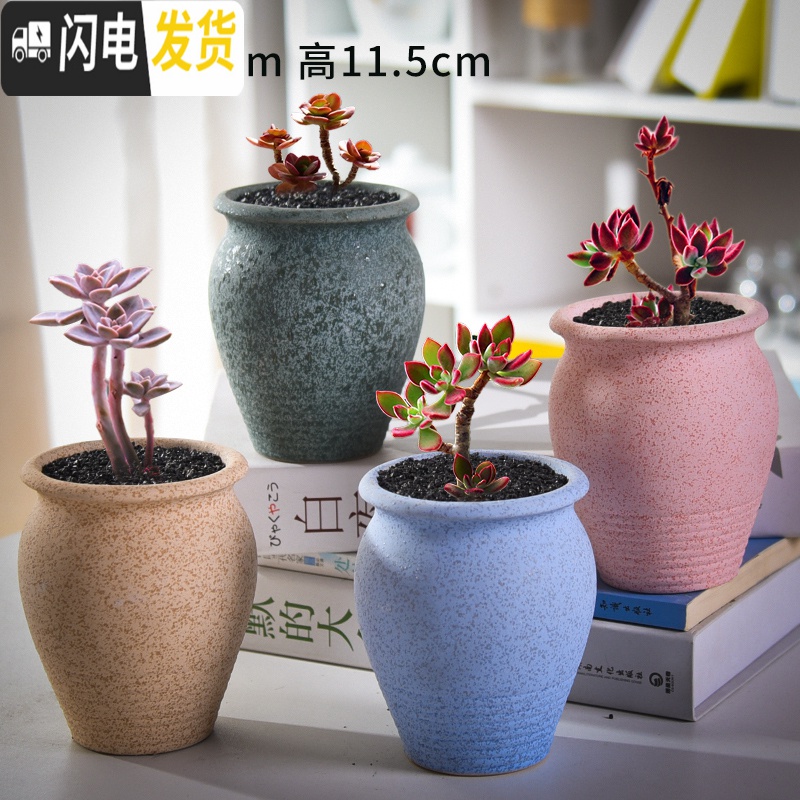 三维工匠老庄多肉花盆悬崖桩肉肉植物小盆器黑法师粗陶大口径创意个性 如图款式9 中等花盆容器高清大图