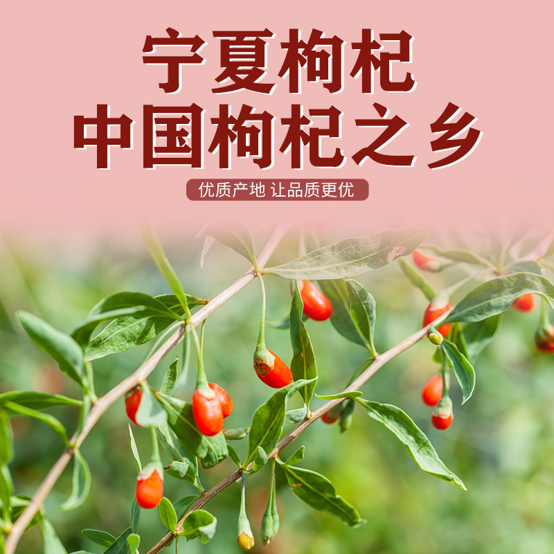 一品爽 宁夏枸杞200g 中宁枸杞 银耳莲子羹食材