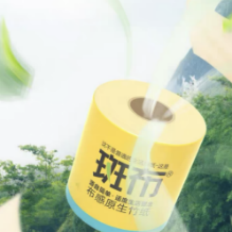 斑布有芯有膜卷纸3层125g*10卷BCJ125A10高清大图