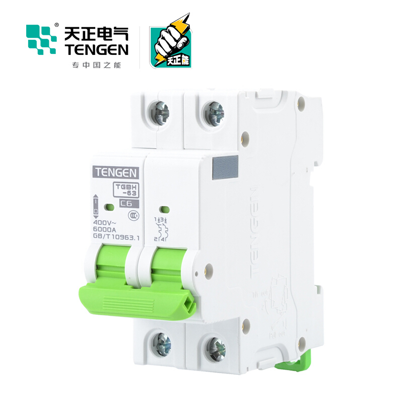 天正电气瑞彩系列TGBH-63 空气开关 6KA 2P C 63A 335013800042 微型断路器