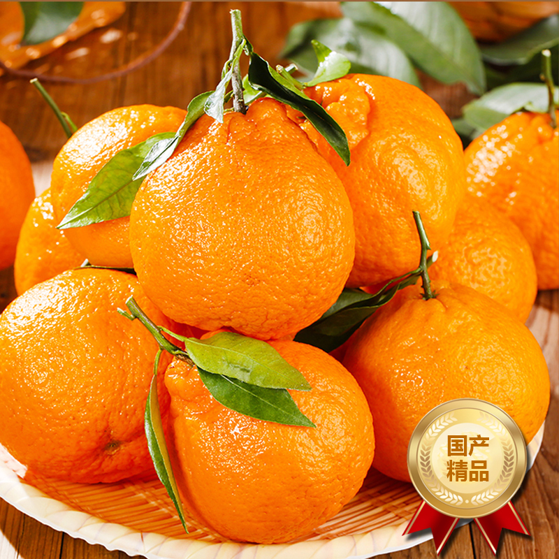 【熊猫鸟】四川不知火柑橘 净重3斤 特大果 单果80mm+ 箱装 丑橘 橘子 新鲜应季水果