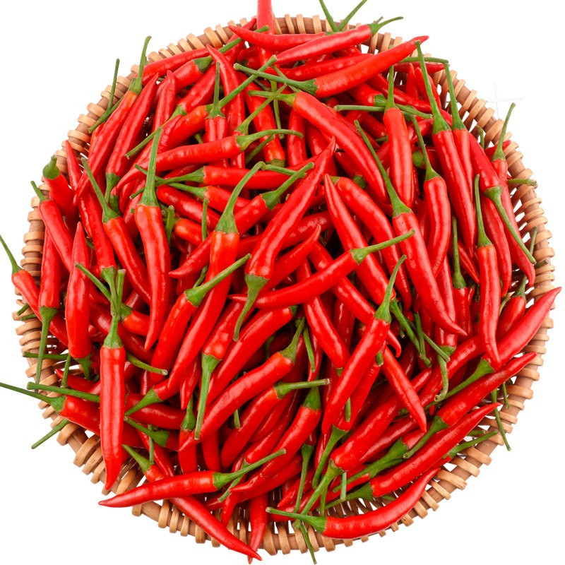 小米辣椒新鲜1斤批发小米椒朝天椒特辣超辣薄皮土红辣椒指天椒