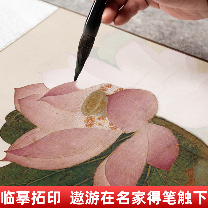 白描底稿三册(宋清花鸟+江山+人物) [正版]中国画白描描摹本 工笔画白描底稿临摹画册 山水花鸟国画白描线稿 勾线笔控笔高清大图