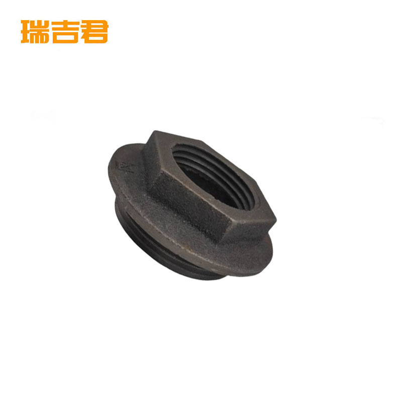 瑞吉君 暖气片补芯 DN40变6分反丝 个