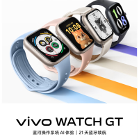 [全新]vivo WATCH GT 夏夜黑 蓝牙版 时尚运动手表 NFC 睡眠检测 血氧 步数 支付 蓝牙通话智能手表