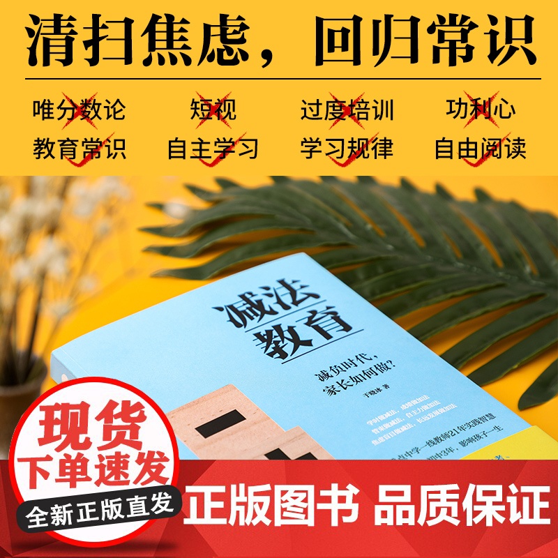 减法教育 于晓冰 著 家庭教育文教 正版图书籍 中信出版社高清大图