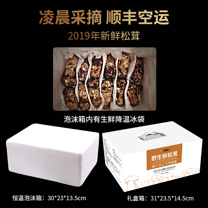 新鲜松茸 非云南香格里拉 四川甘孜野生菌菇未开伞 火锅食材礼盒装7cm-9cm 500g