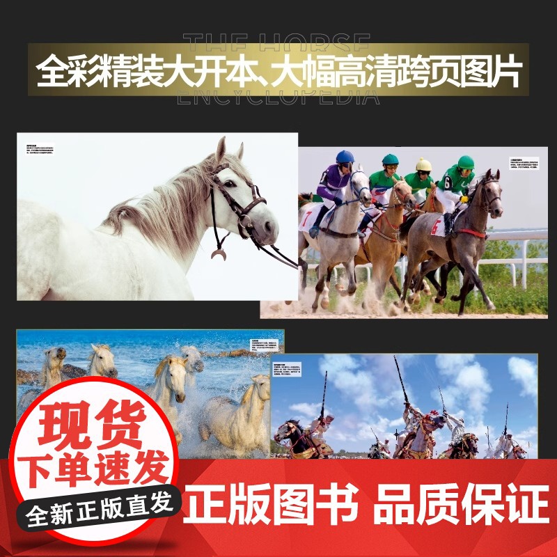 DK马百科全书(全新升级版) 精装大开本 马类图解百科全书 新华正版书籍高清大图