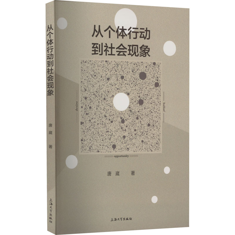 从个体行动到社会现象
