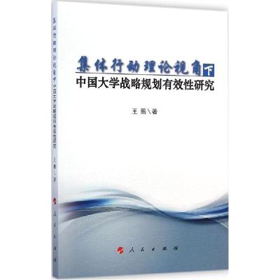 11集体行动理论视角下中国大学战略规划有效性研究9787010141794