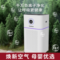 诺森柏格(Nocenbeger)空气净化加湿净化一体机除甲醛UV除菌除二手烟异味负离子深度净化净化器D7Pro