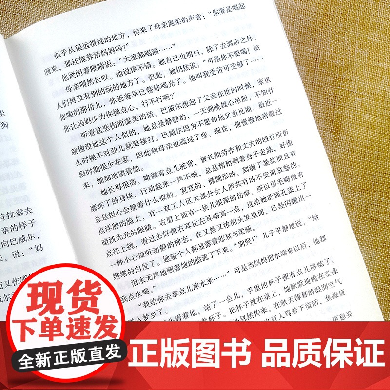 正版 母亲 在人间 全译插图版精经典名著价值阅读高尔基 名家名译读本初高中小学 高尔基 万卷出版公司 正版书籍高清大图