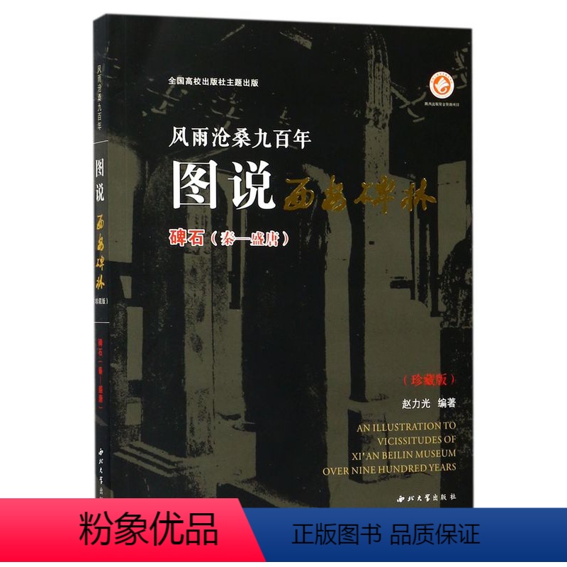 [正版]风雨沧桑九百年图说西安碑林(碑石秦-盛唐珍藏版)