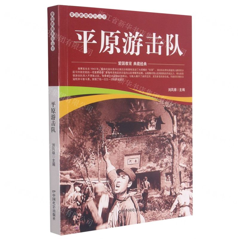【N】平原游击队/爱国教育系列丛书-9787106052010