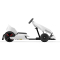 ninebot 卡丁套件 + segway miniPRO平衡车