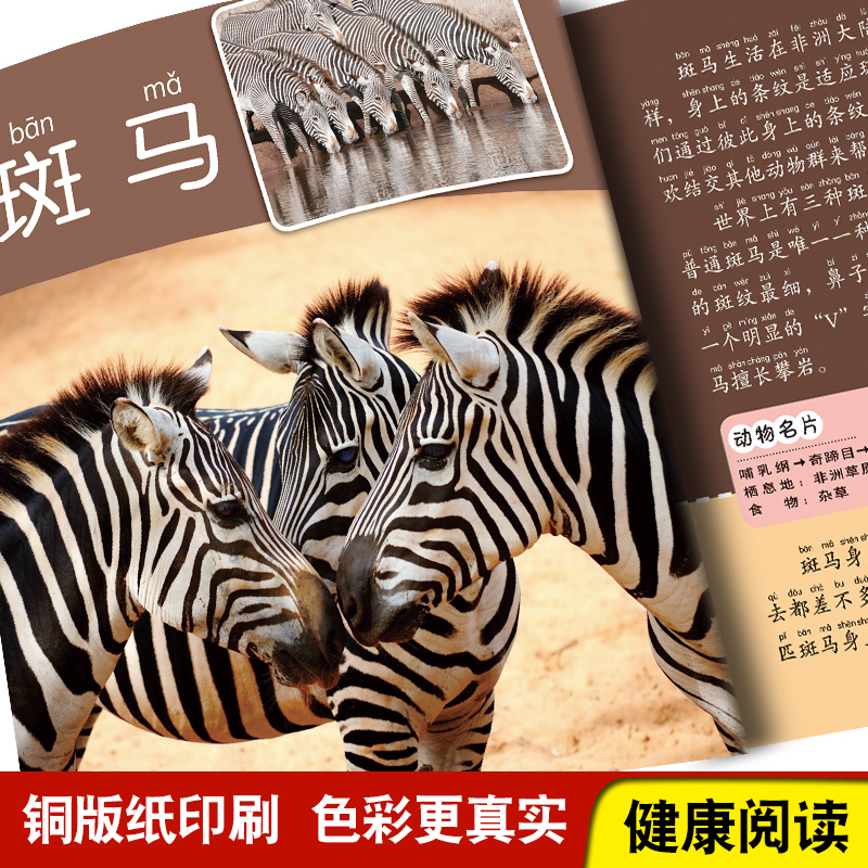 [选3件39元]飞机百科 [正版]动物百科全书幼儿大百科全套注音版科普小百科绘本读物科学启蒙认知幼儿少儿儿童3-6-8-高清大图