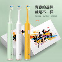 博皓(prooral)电动牙刷男女情侣款成人充电式全自动电动牙刷防水声波震动牙刷微气泡牙刷 T32橙色
