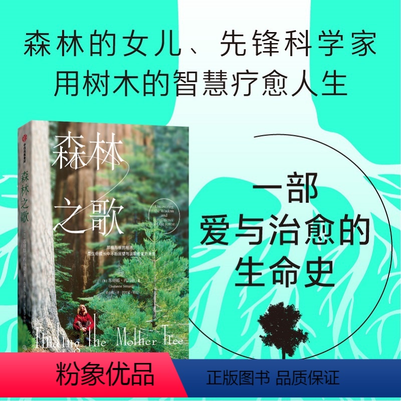 【正版】森林之歌 苏珊娜西马德 著 森林的女儿 先锋科学家如何用树木的智慧疗愈人生 一部爱与生命的联结史 事业与家庭