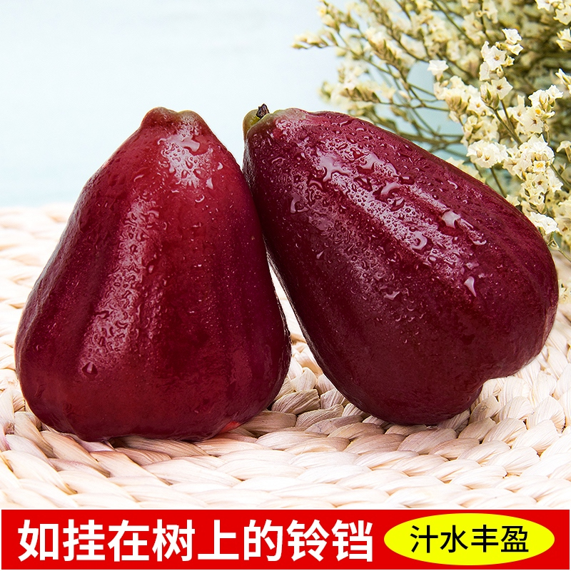 [熊猫鸟]海南黑金刚莲雾 热带水果 净重4.5斤 大果 单果80-120g 当季水果 现摘现发 清甜爽口高清大图