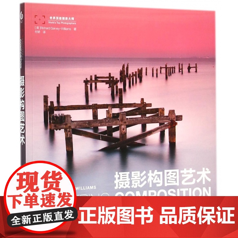 摄影构图艺术 摄影构图与色彩设计基础教程近200幅 美摄影名作剖析数码单反摄影构图技法教程书籍从入门到精通新手学技巧书高清大图