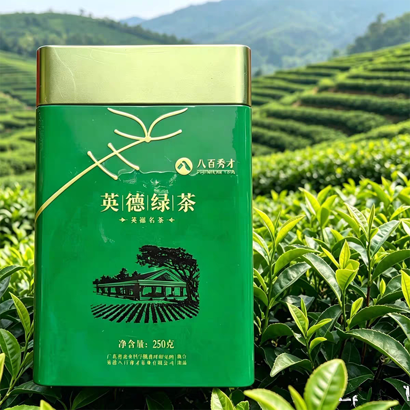 八百秀才 英德绿茶250g/罐*2