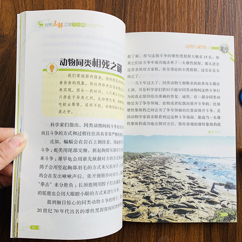 [醉染正版]世界未解之谜大全集全6本中小学生科普绘本动物科学恐龙人类文明之谜中国未解之谜青少年版百科全书十万个为什么历史高清大图