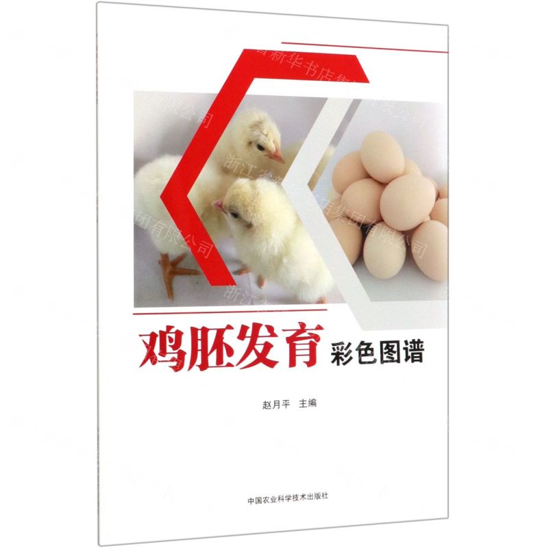 【N】鸡胚发育彩色图谱-9787511646095
