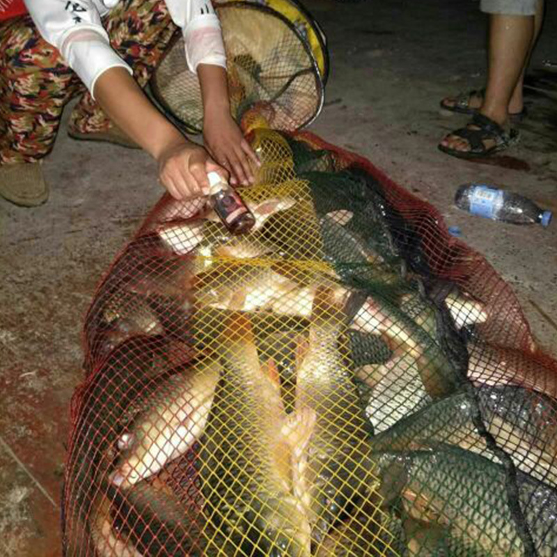 黑坑灵麝香果酸诱钓鱼小药鲫鱼饵料鲤鱼小药青鱼窝料配方渔具用品