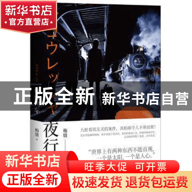 正版 夜行列车 梅骁 湖南文艺出版社 9787540481643 书籍图片