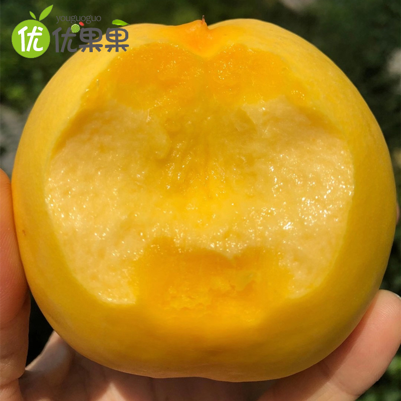 山东蒙阴黄桃带箱 5斤约12-18个左右新鲜现摘现发脆甜多汁可口应季水果脆桃黄桃毛桃