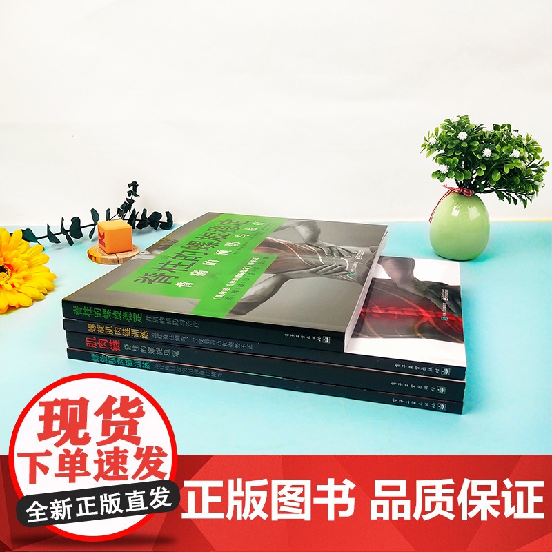 [正版]肌肉链脊柱的螺旋稳定+肌肉链训练治疗椎间盘突出脊柱侧弯+脊柱侧弯过度前后凸和姿势不正+螺旋稳定背痛的预防书籍高清大图